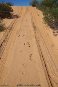 Some of the sand dunes where steep, Googs Track, South Australia
