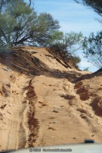 This sand dune needed a bit of caution as it has a bend on the top, Googs Track, South Australia.