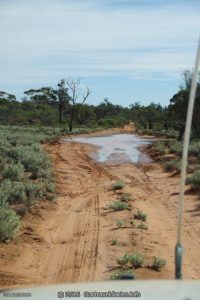 Small puddle on the Northern End of Googs Track, South Australia.