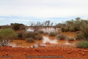 A few weeks back the area around Tarcoola got a fair bit of rain