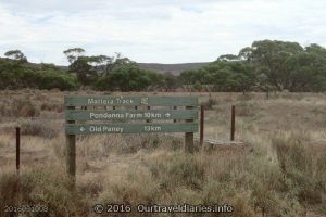 Mattera Track signs, Gawler Ranges NP