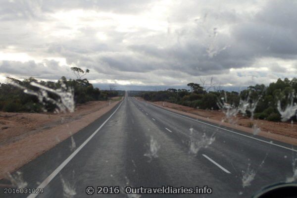 The result of running into swarms of flying ants, near Balladonia WA