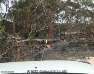 Using the Warn Winch to clear a tree - Old Hyden Norseman Road