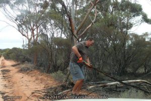 Clearing the track - Old Hyden Norseman Road