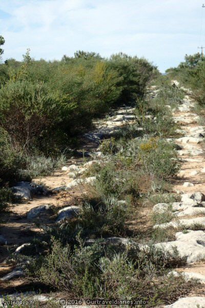 A bumpy track, Stockyard Gully National Park