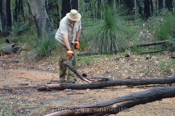 Clearing Trees from the Track near Mount Dale, Darling Range, WA