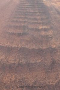 Corrugations on the Ernest Giles Road Northern Territory