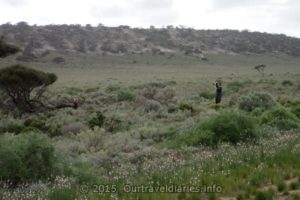 Photographing an Eagle, Eyre Highway, Western Australia