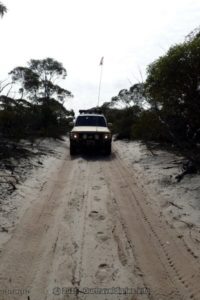 The track To the Eyre Bird Observatory