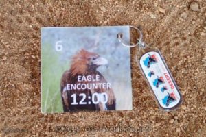 Our entry card for the Eagle Encounter
