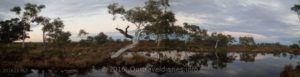 Storm coming, Peter Creek, Pilbara, WA