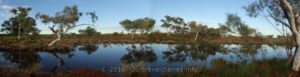 Refelections at Peter Creek, Pilbara, WA