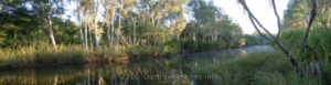 Calder River, Munja Track, Kimberley, WA