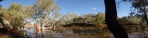 Fortescue River, North of Newman, WA